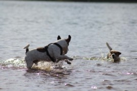 IMG 0396